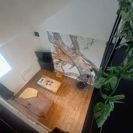 Terre Sauvage Baie De Somme