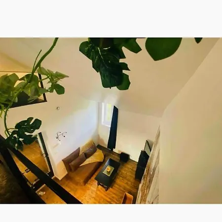 Terre Sauvage Baie De Somme *