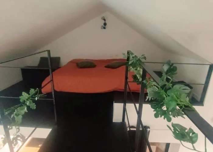 Terre Sauvage Baie De Somme * Abbeville