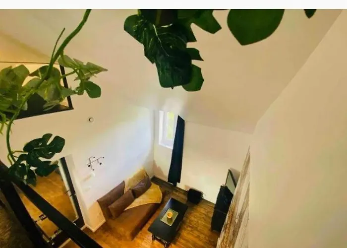 Terre Sauvage Baie De Somme *